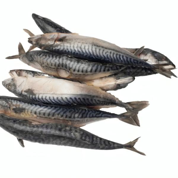 Sabida Fish