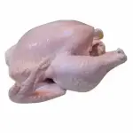 Frozen Chicken