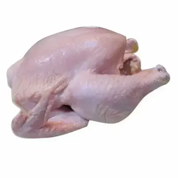 Frozen Chicken