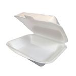 Take Away Plate Big